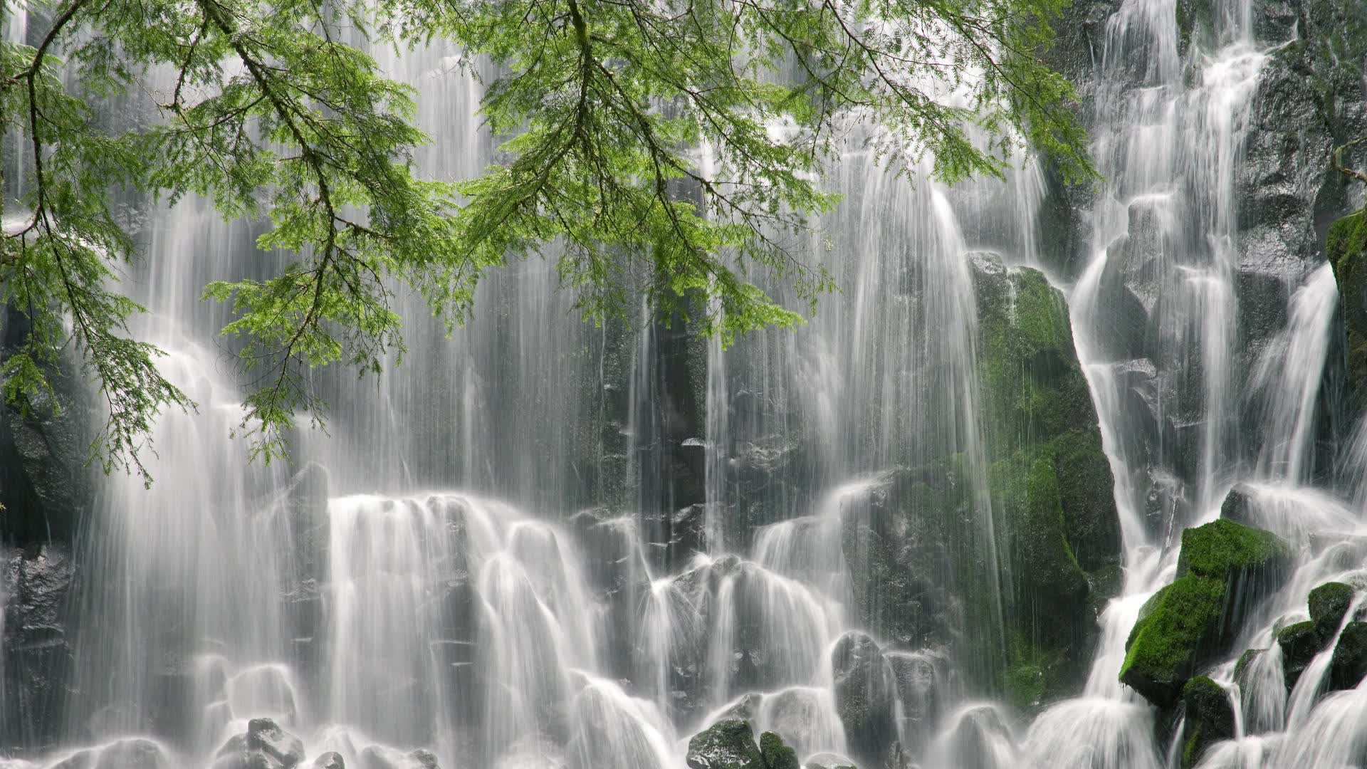 世界保龄球青年联赛地区选拔赛圆满结束，世界保龄球比赛